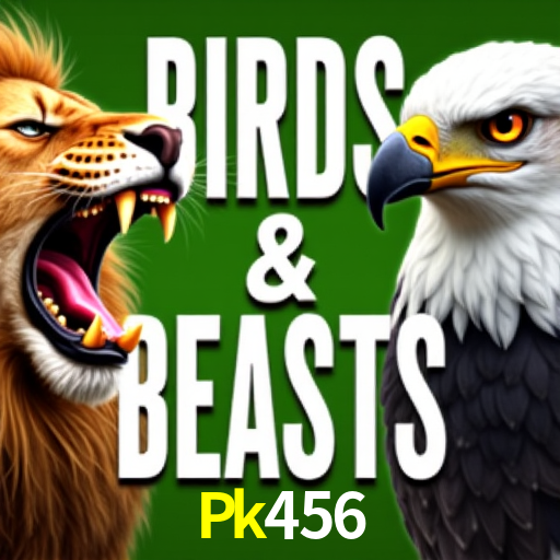 Pk456